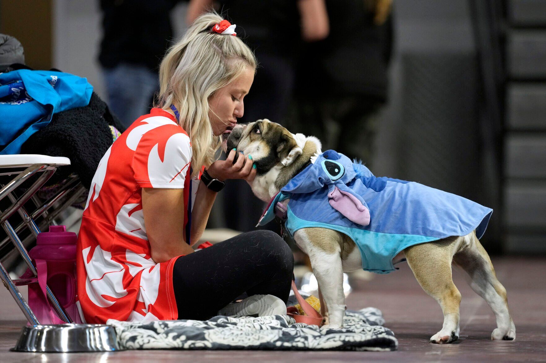 Beautiful Bulldogs